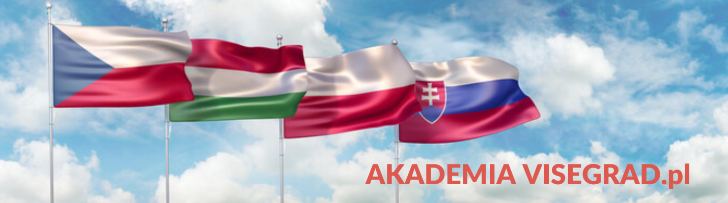 VISEGRAD.pl (3)